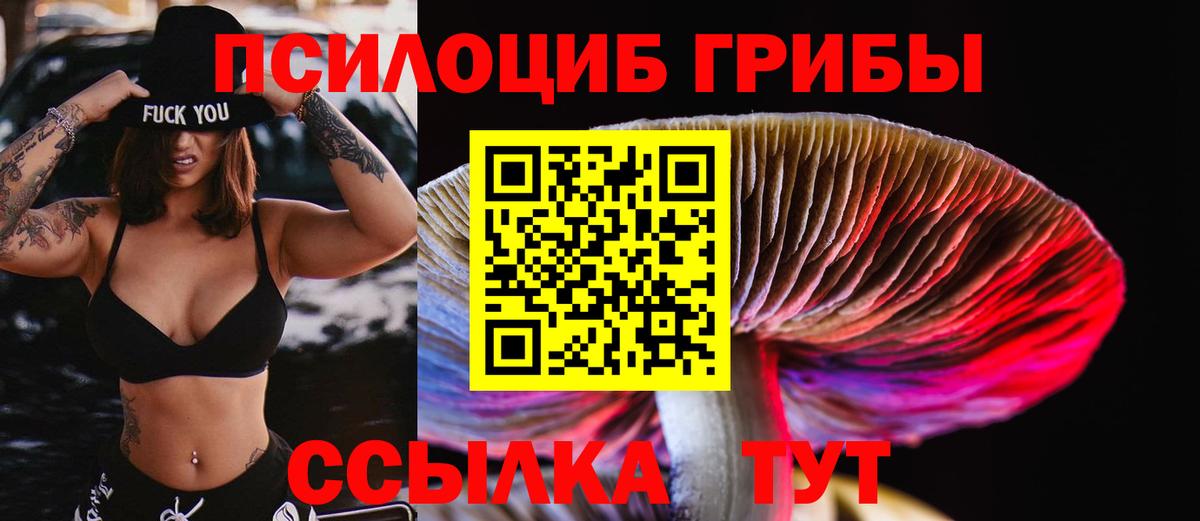 Чита  Галлюциногенные грибы ЛСД  Галлюциногенные грибы Cubensis  Вход с VPN 